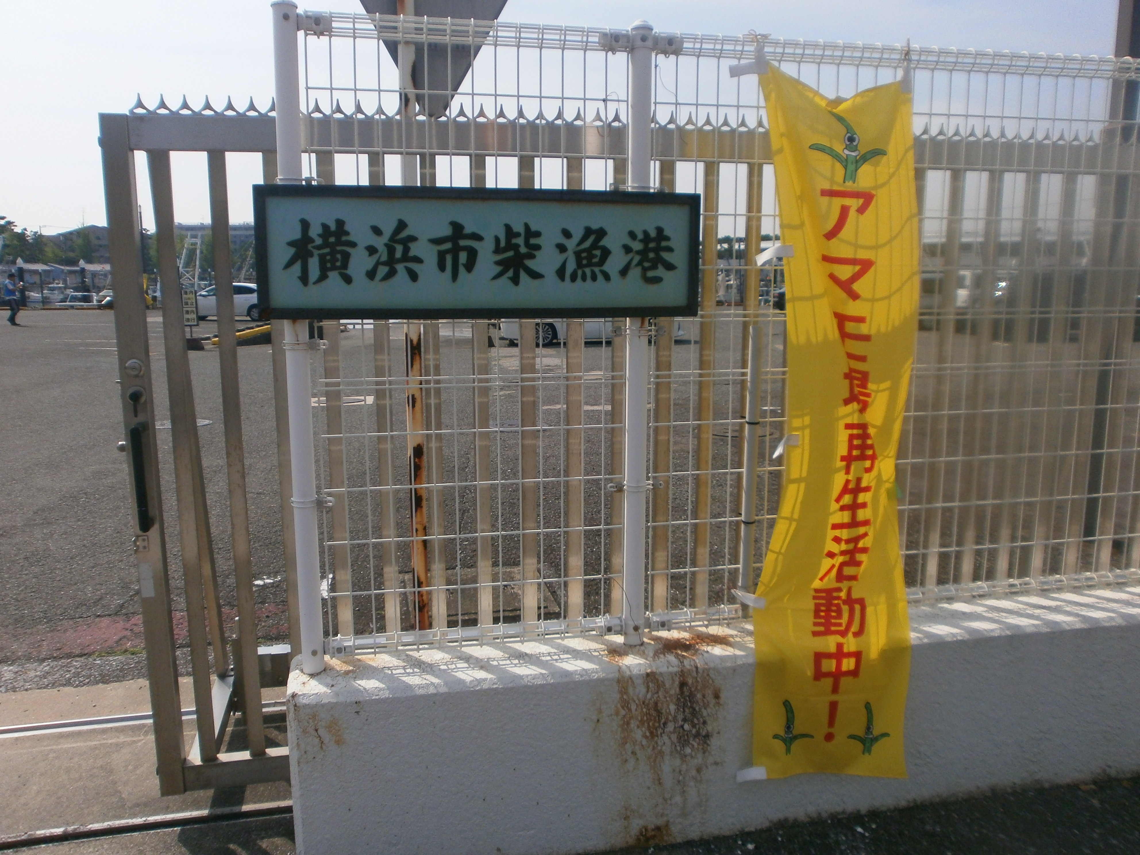 20260803-1.JPG