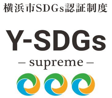 YSDGsS_1.jpg