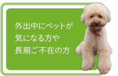 外出中にペットが気になる方や長期ご不在の方